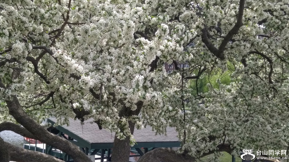 20180507_122517_HDR.jpg