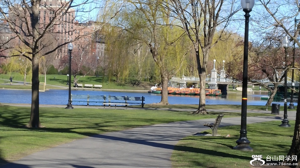 20180422_084237_HDR.jpg
