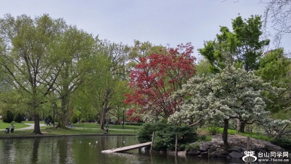 20180507_124254_HDR.jpg