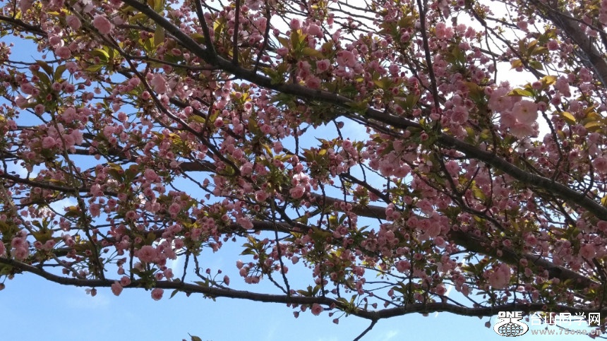 20180505_153120_HDR.jpg