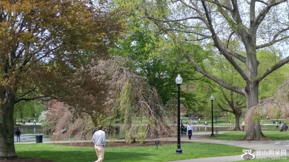 20180507_122314_HDR.jpg