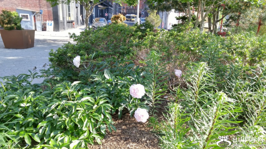 20180529_082318_HDR.jpg