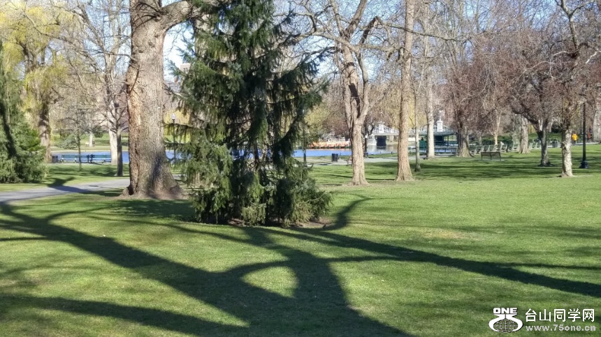 20180422_084206_HDR.jpg
