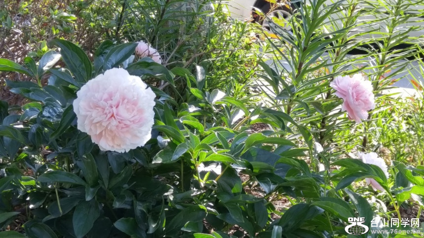 20180529_082338_HDR.jpg