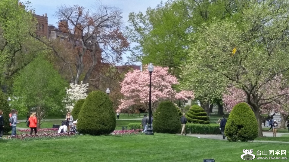 20180507_123038_HDR.jpg