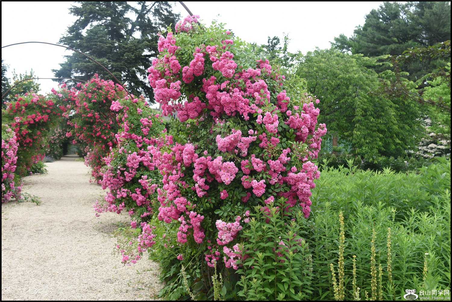 DSC_9177.jpg