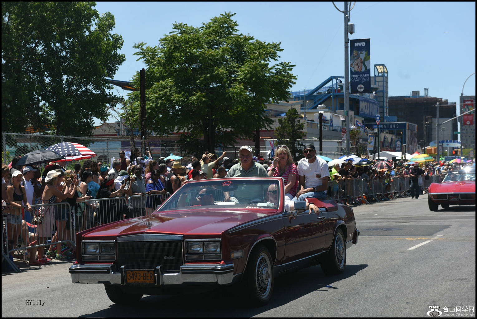 DSC_8199.jpg
