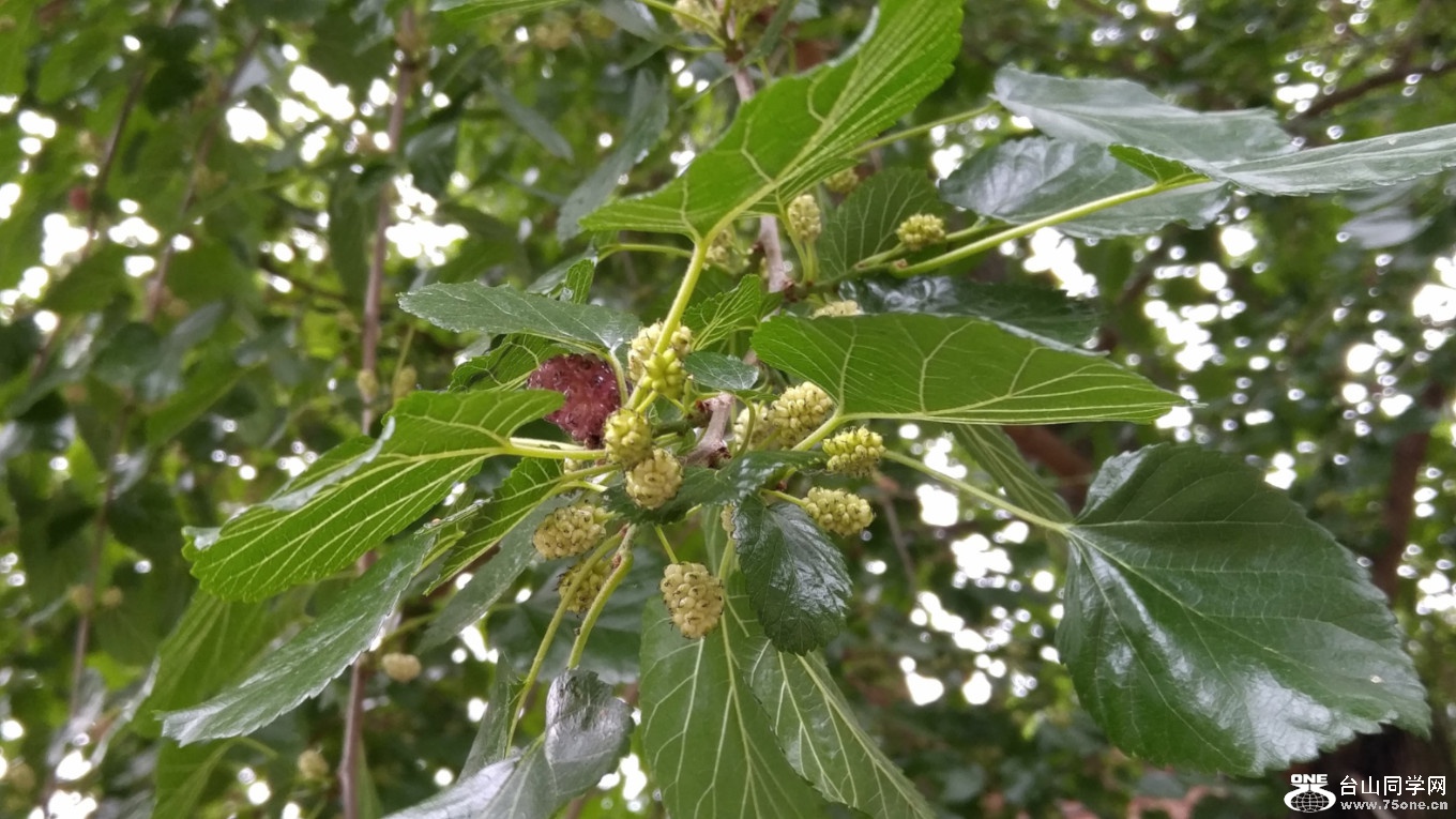 20180627_144932_HDR.jpg
