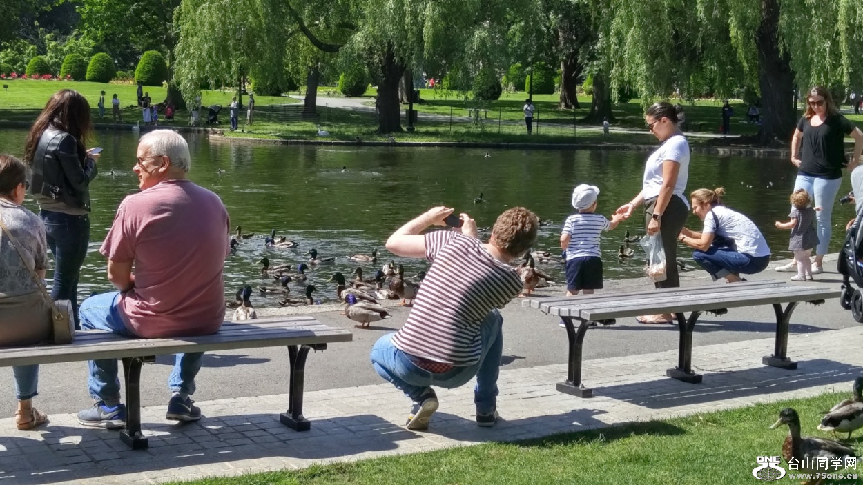 20180610_101459_HDR.jpg