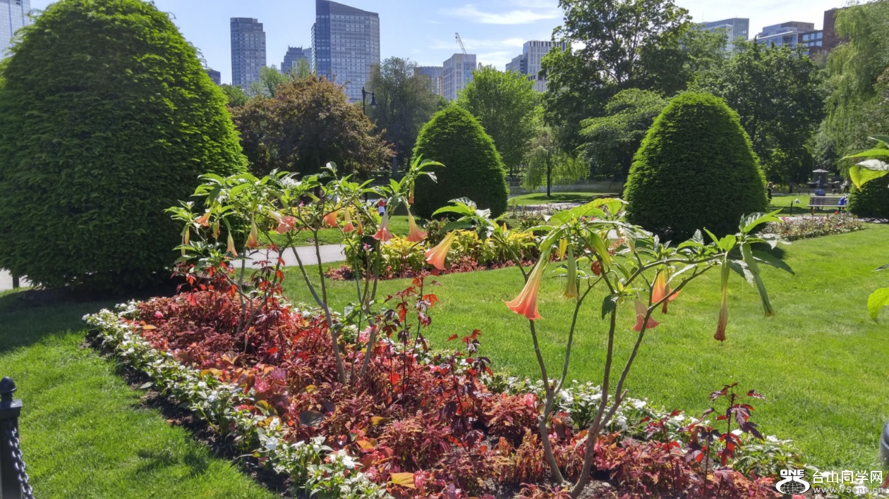 20180610_100906_HDR.jpg