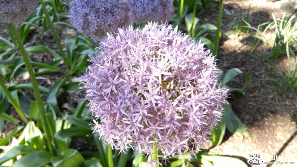 20180529_082807_HDR.jpg