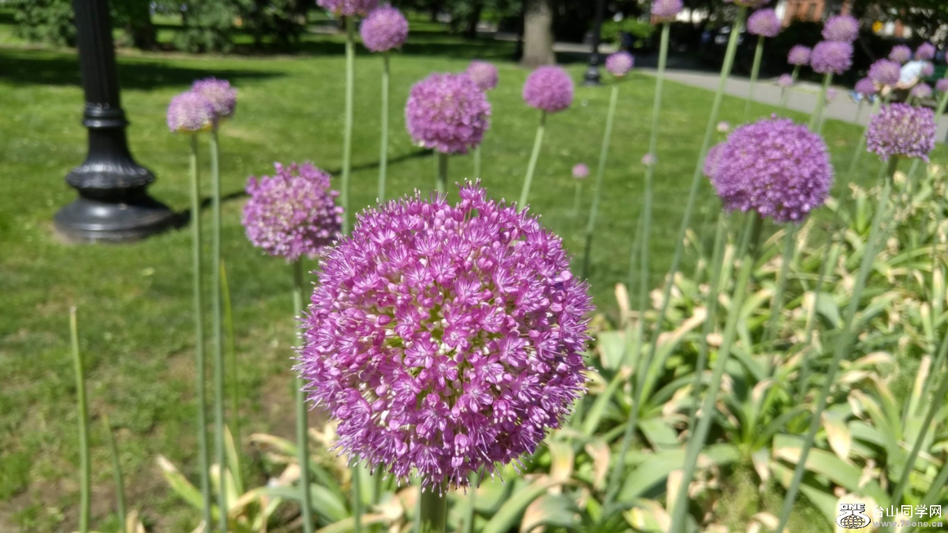 20180610_101710_HDR.jpg