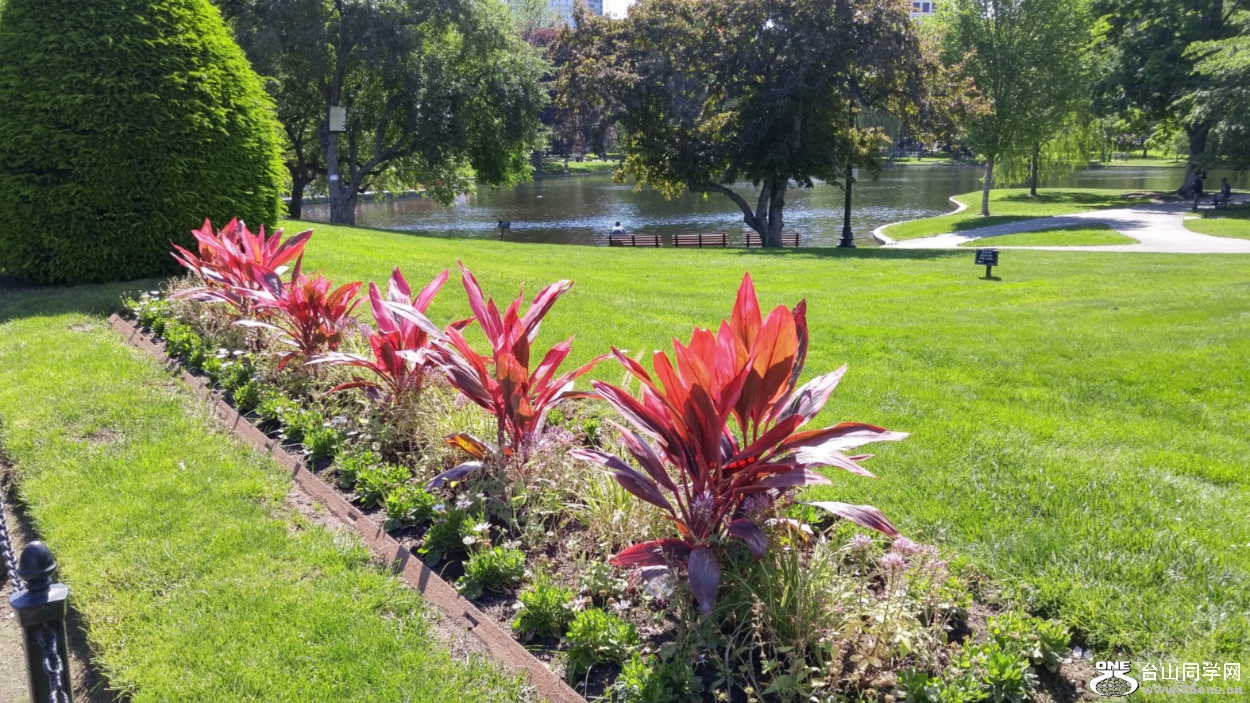 20180610_100944_HDR.jpg