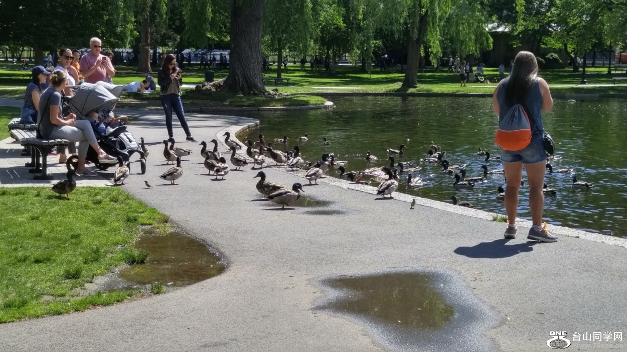20180610_101326_HDR.jpg