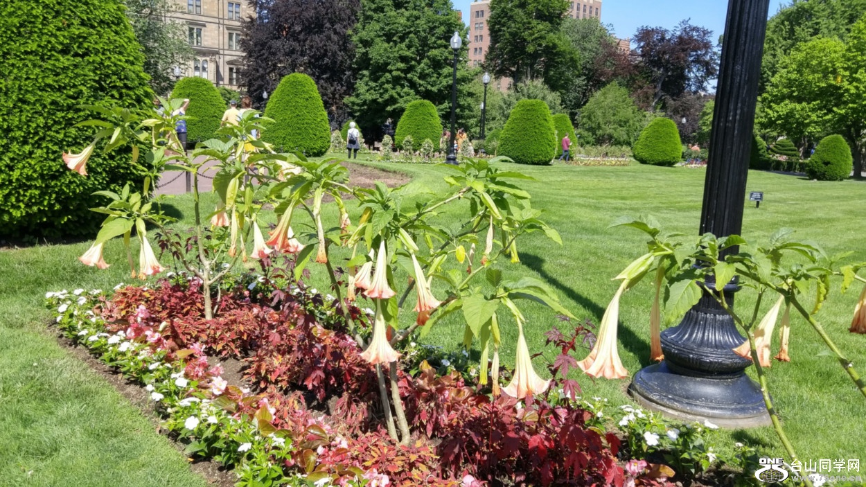 20180610_100915_HDR.jpg