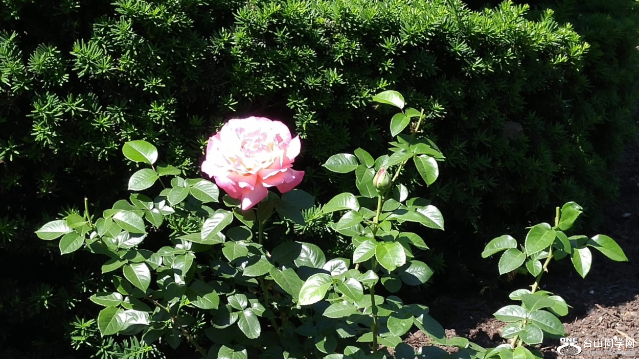 20180610_101200_HDR.jpg