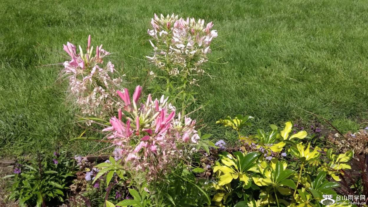 20180610_101021_HDR.jpg