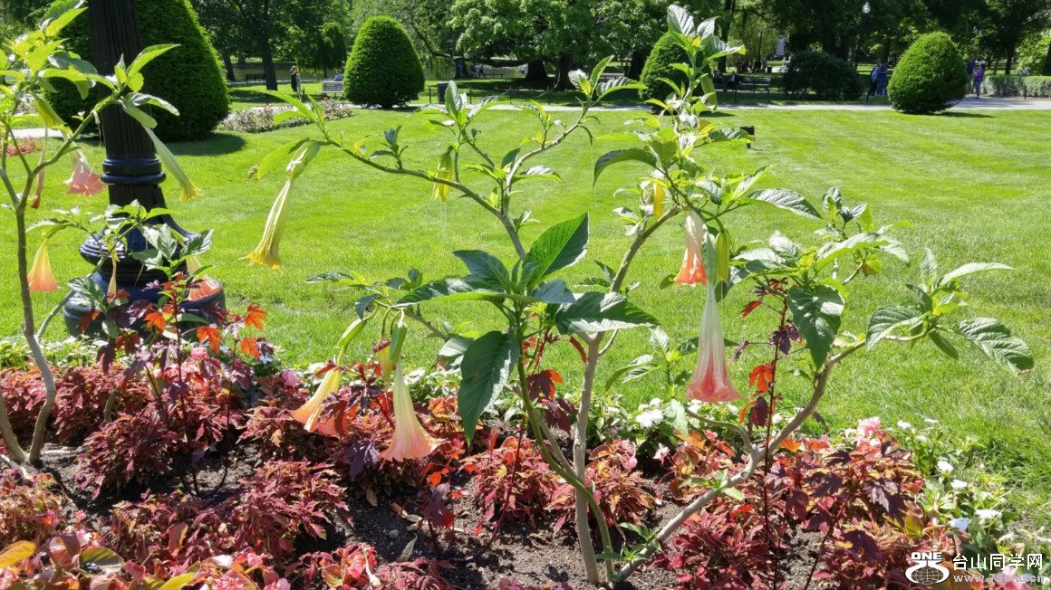 20180610_100855_HDR.jpg