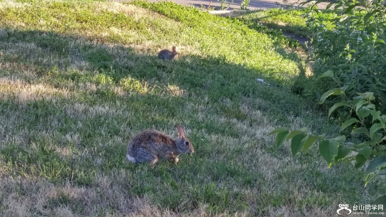 20180707_063401_HDR.jpg