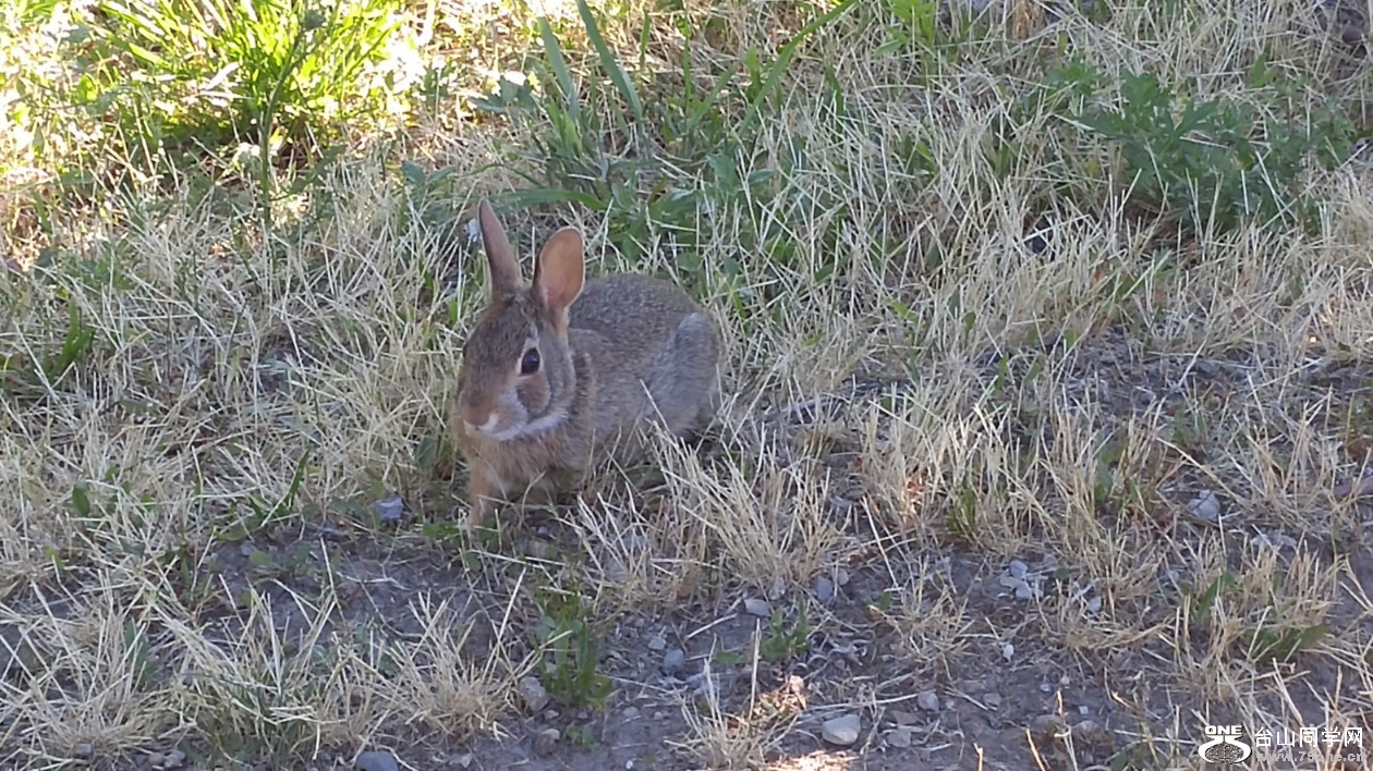 20180708_074030_HDR.jpg