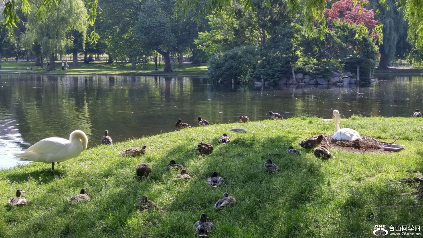 20180630_081651_HDR.jpg