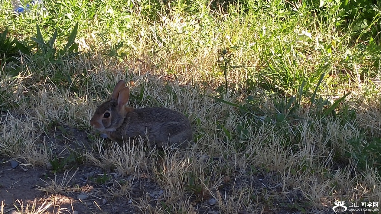 20180708_074018_HDR.jpg