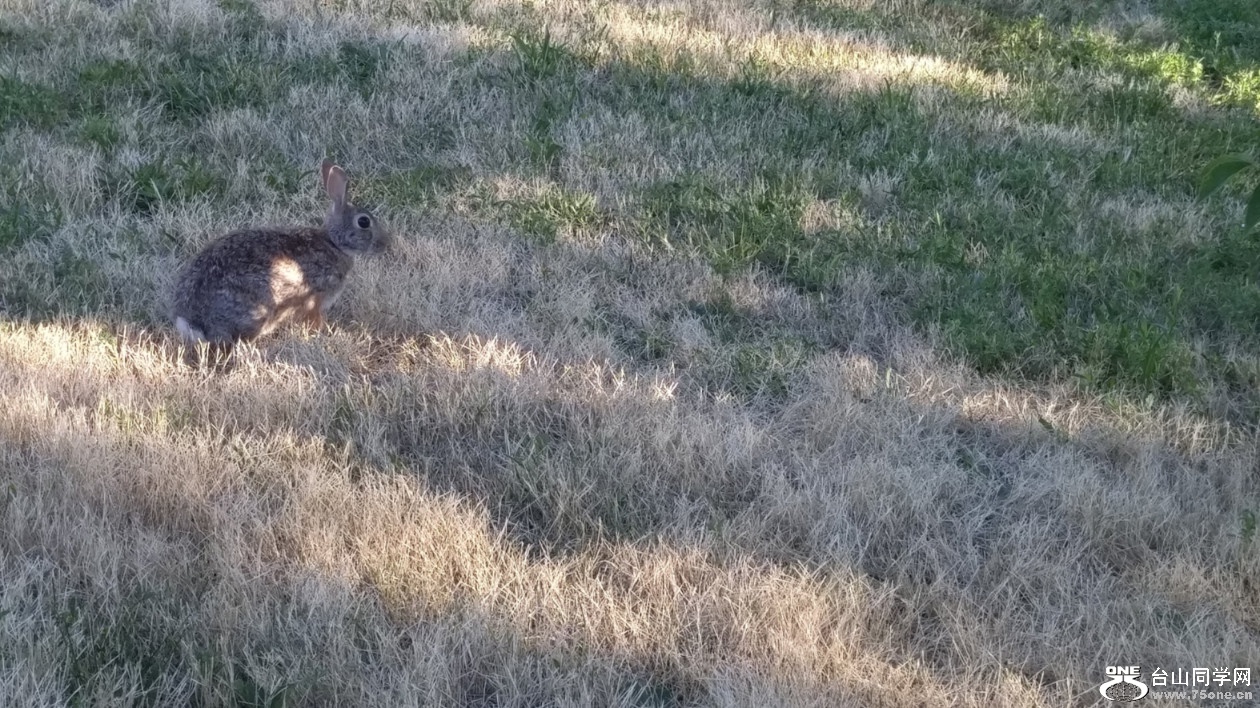 20180707_063330_HDR.jpg