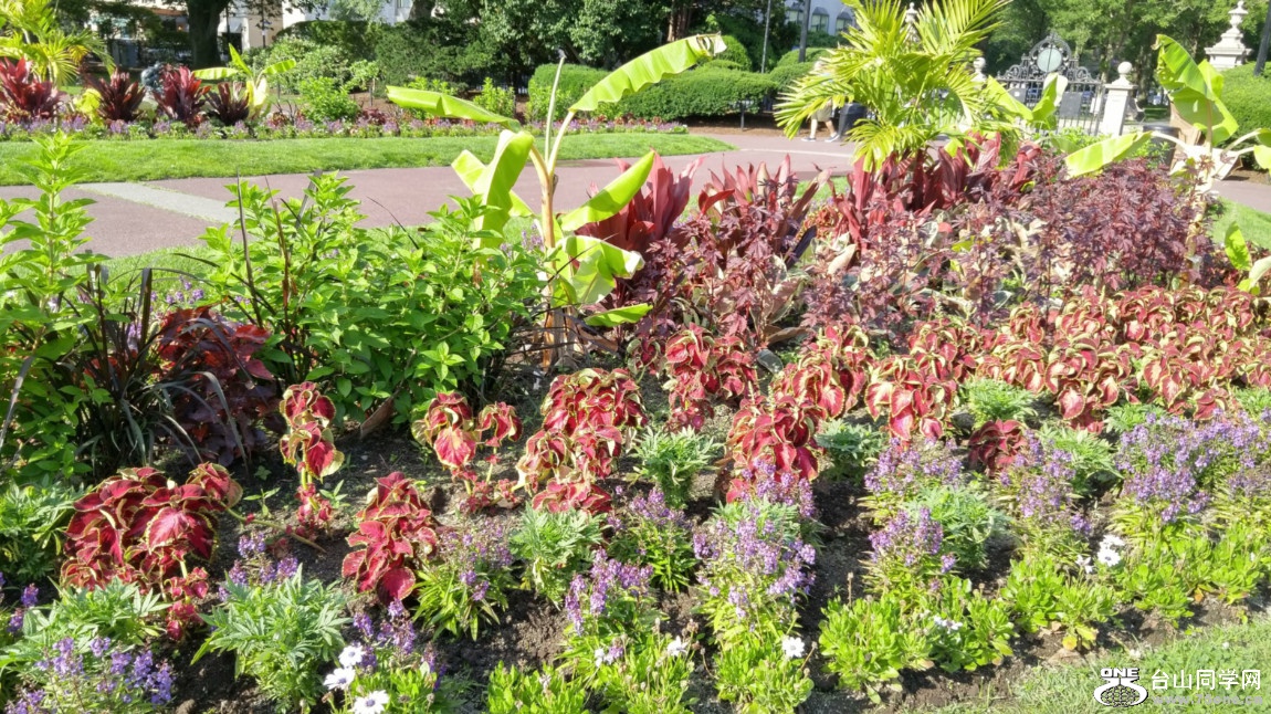 20180630_081330_HDR.jpg