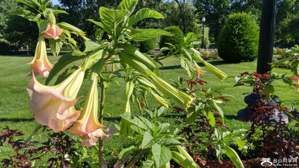 20180708_080716_HDR.jpg