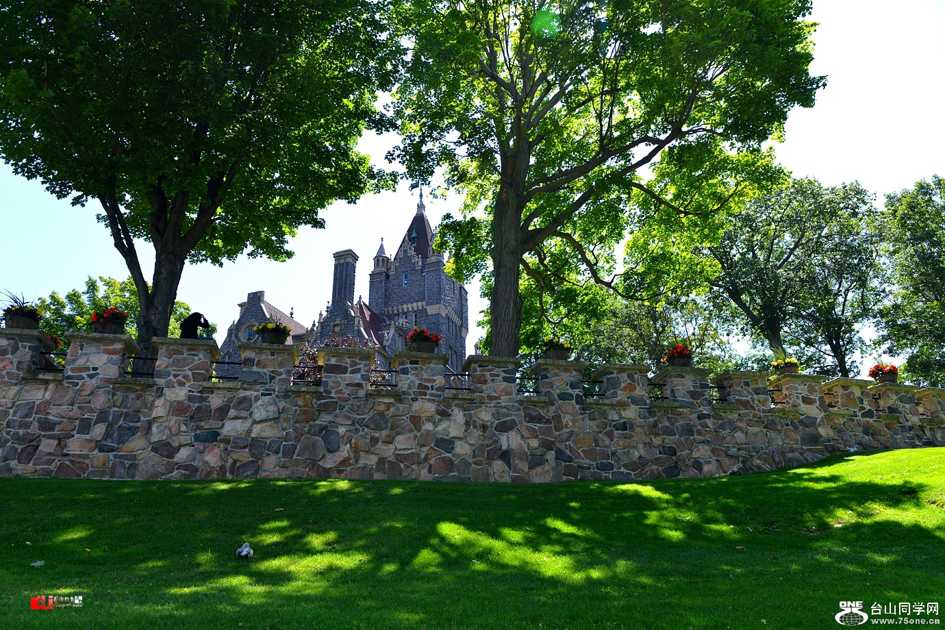 DSC_4370.jpg
