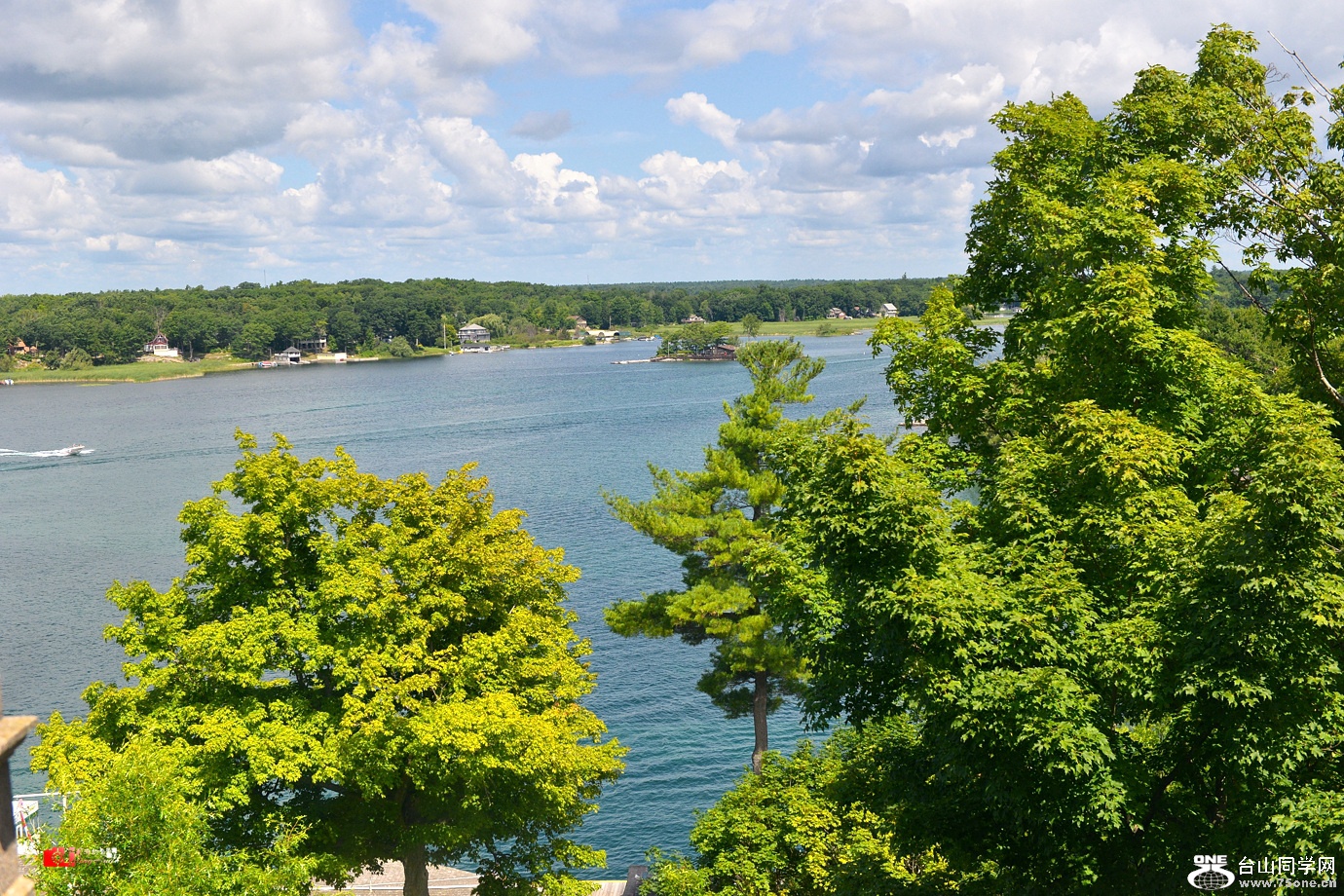 DSC_4197.jpg