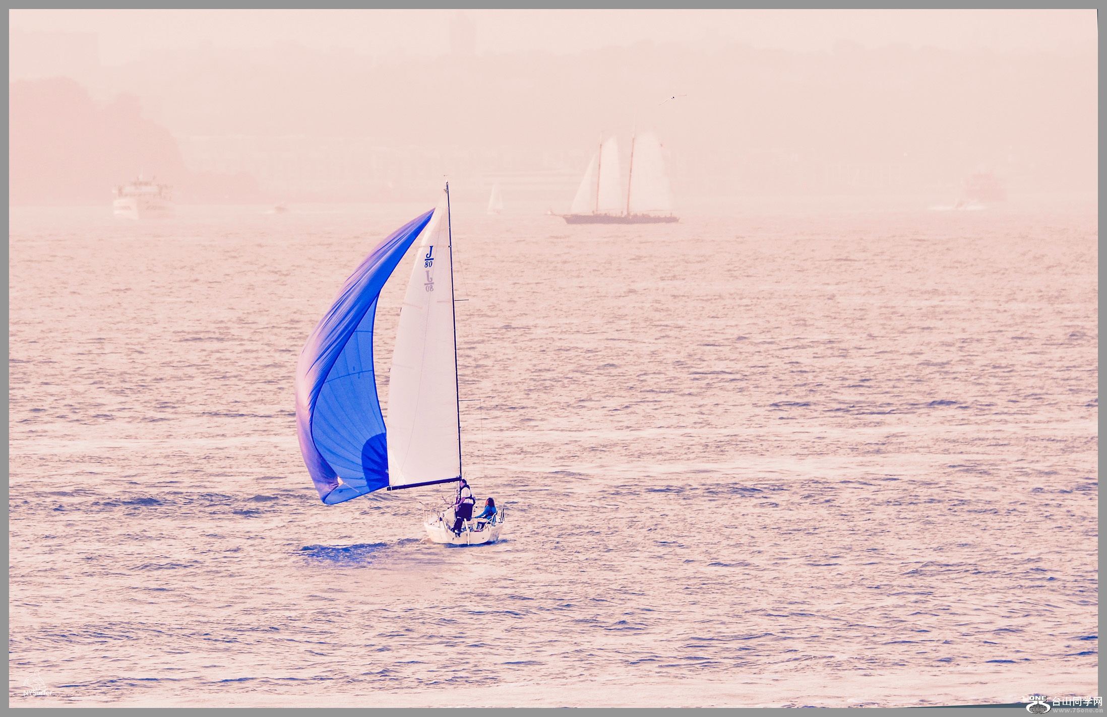 DSC_71841.jpg