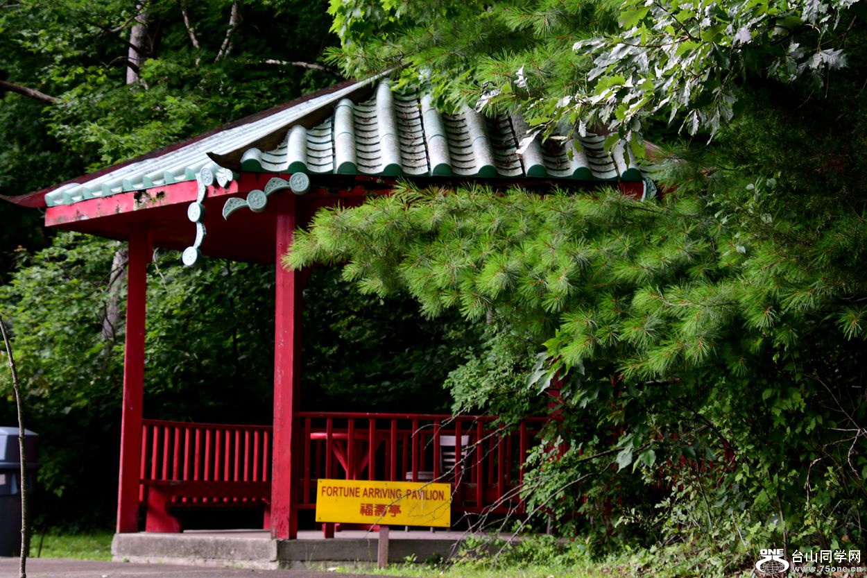 DSC_9954 (1)_����.jpg