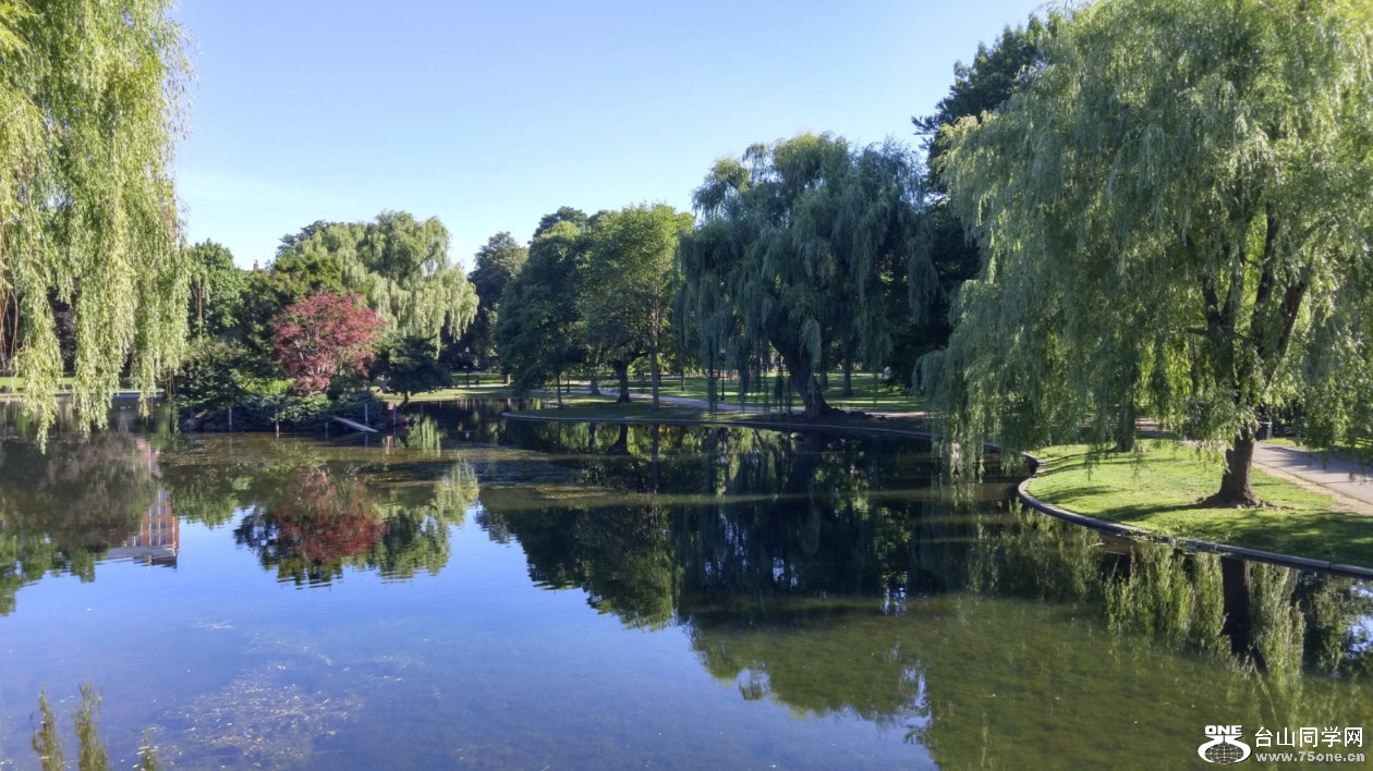 20180708_081051_HDR.jpg