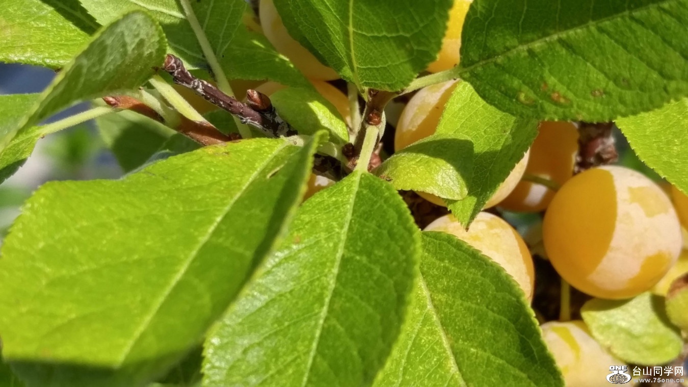 20180810_095316_HDR.jpg