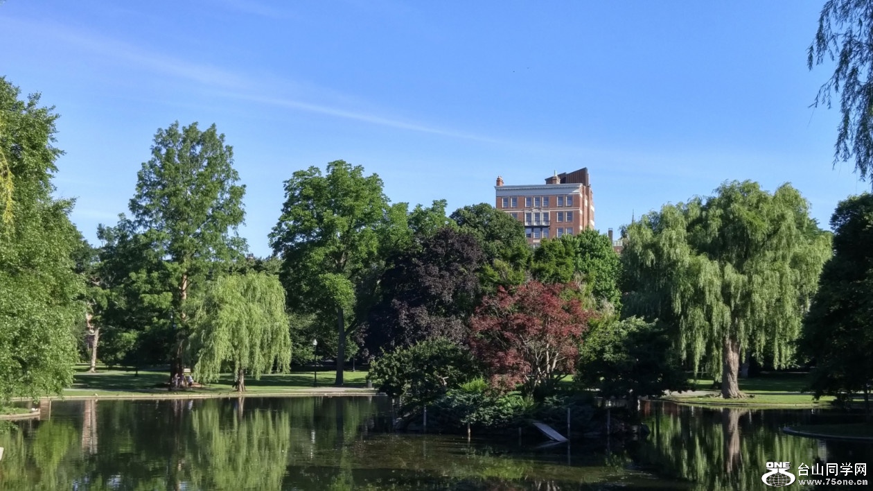 20180708_081116_HDR (1).jpg