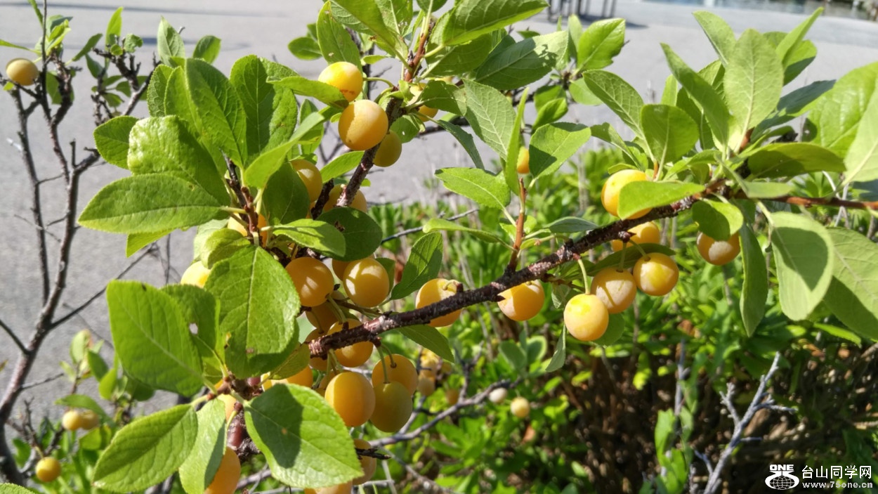 20180810_095410_HDR.jpg