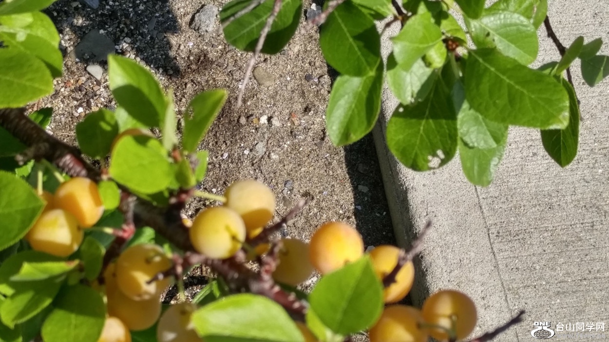20180810_095307_HDR.jpg