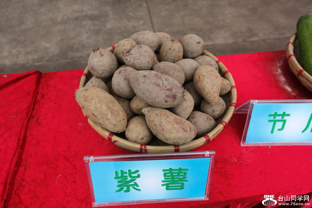 DPP_2018.9.90157.JPG
