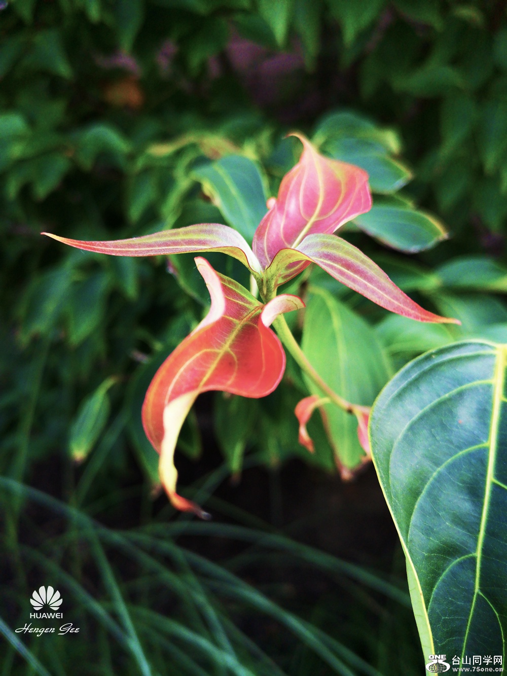 IMG_20180924_140220 (1)_����.jpg