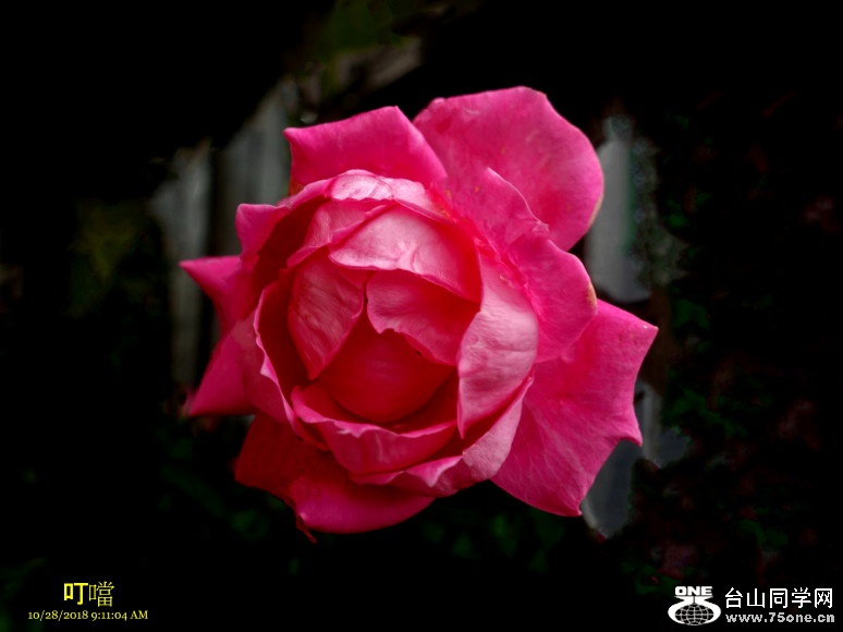 DSC02362a_1.jpg