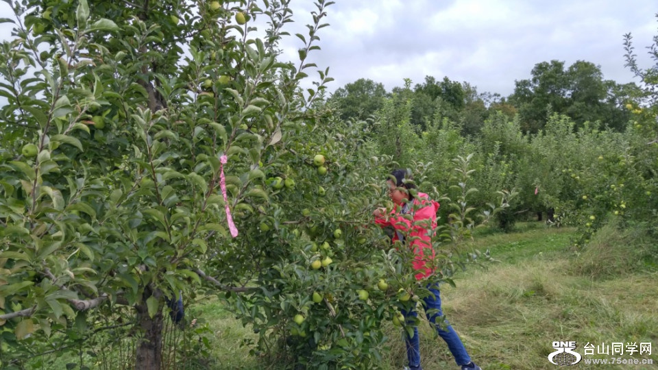 20181007_135938_HDR.jpg