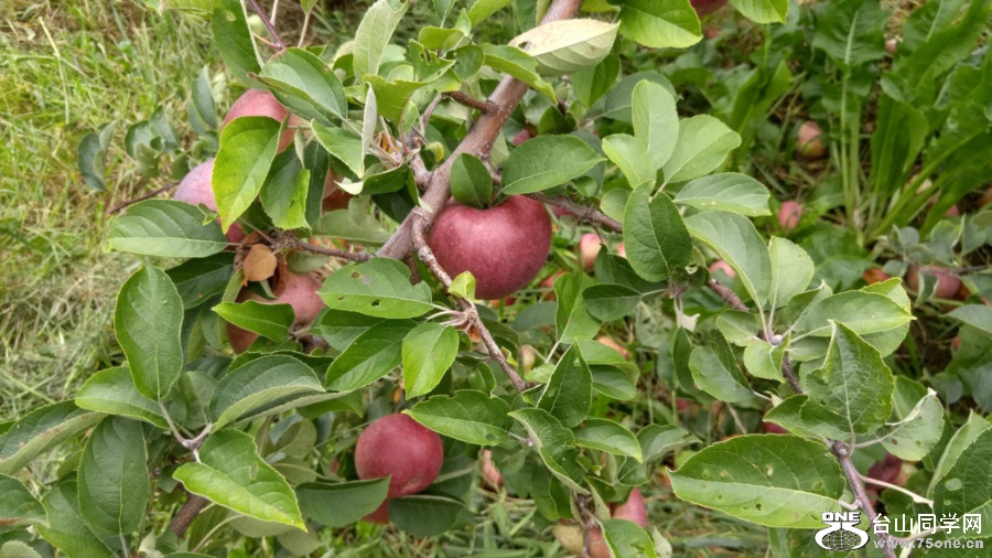 20181007_133023_HDR.jpg