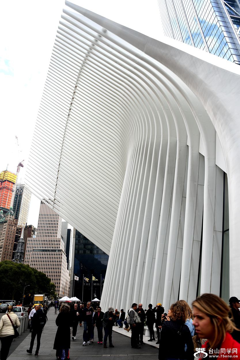 DSC_2752_.jpg