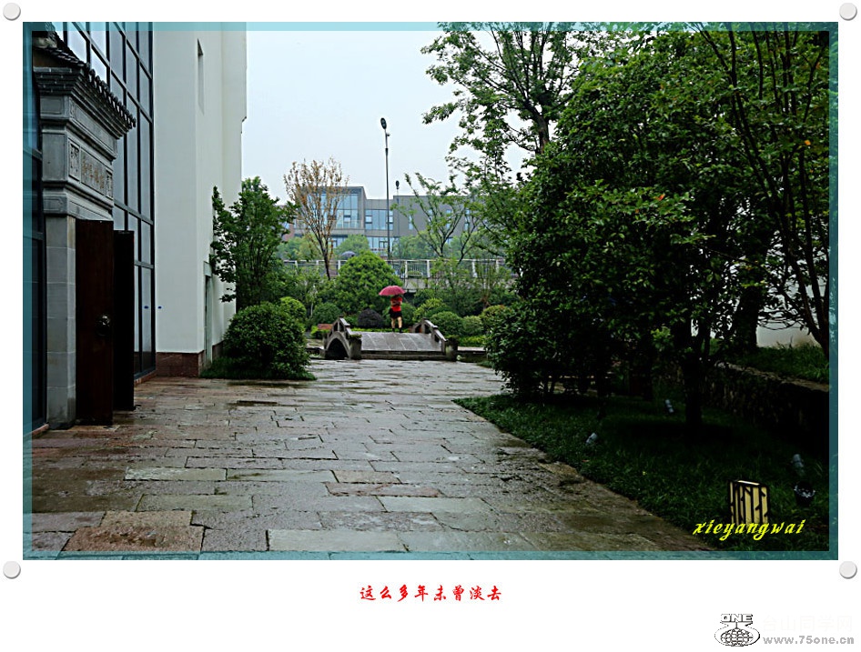 DPP_2017.5.230218__.jpg