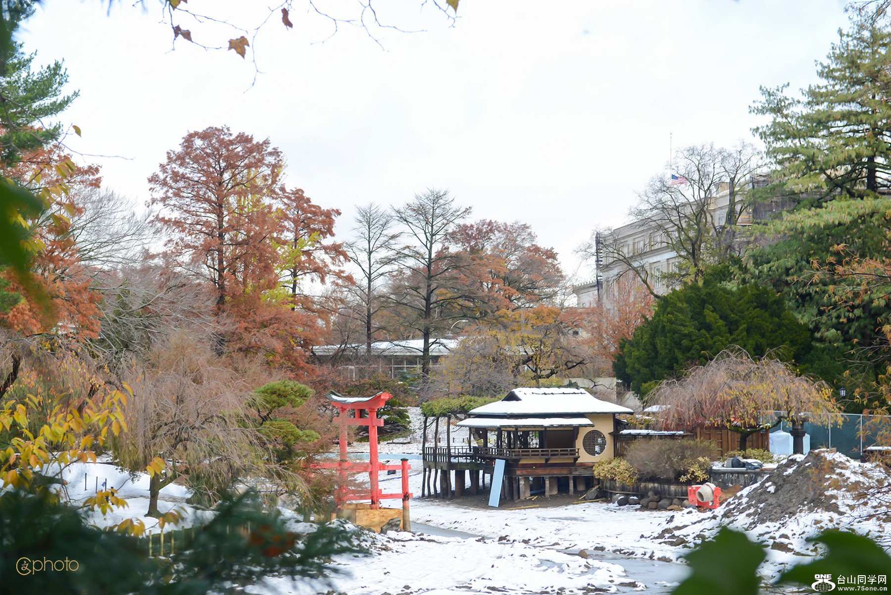 DSC_71394.jpg