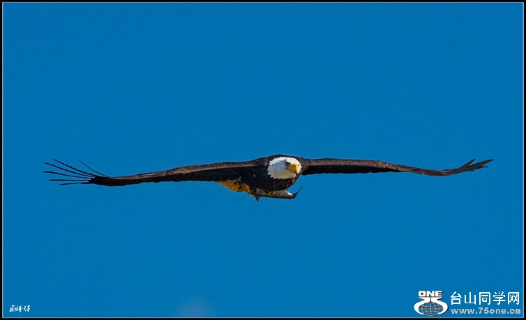 _DSC4723_.jpg