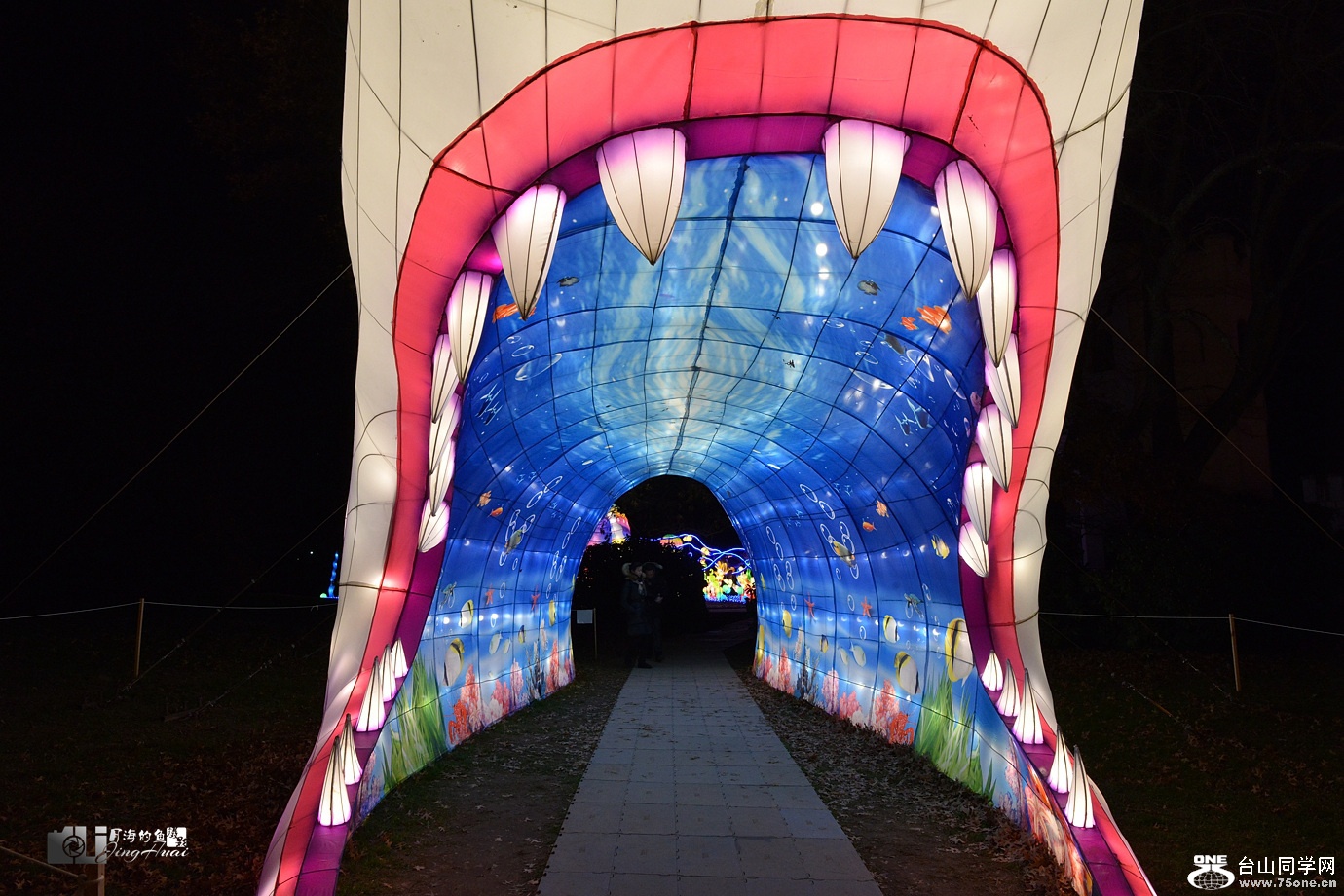 DSC_0867.jpg