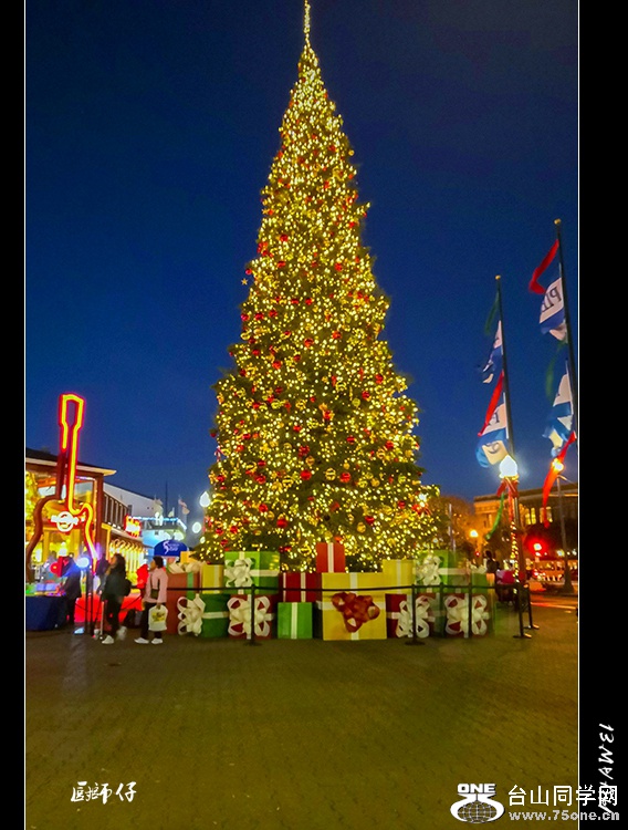 IMG_20181130_172804a.jpg