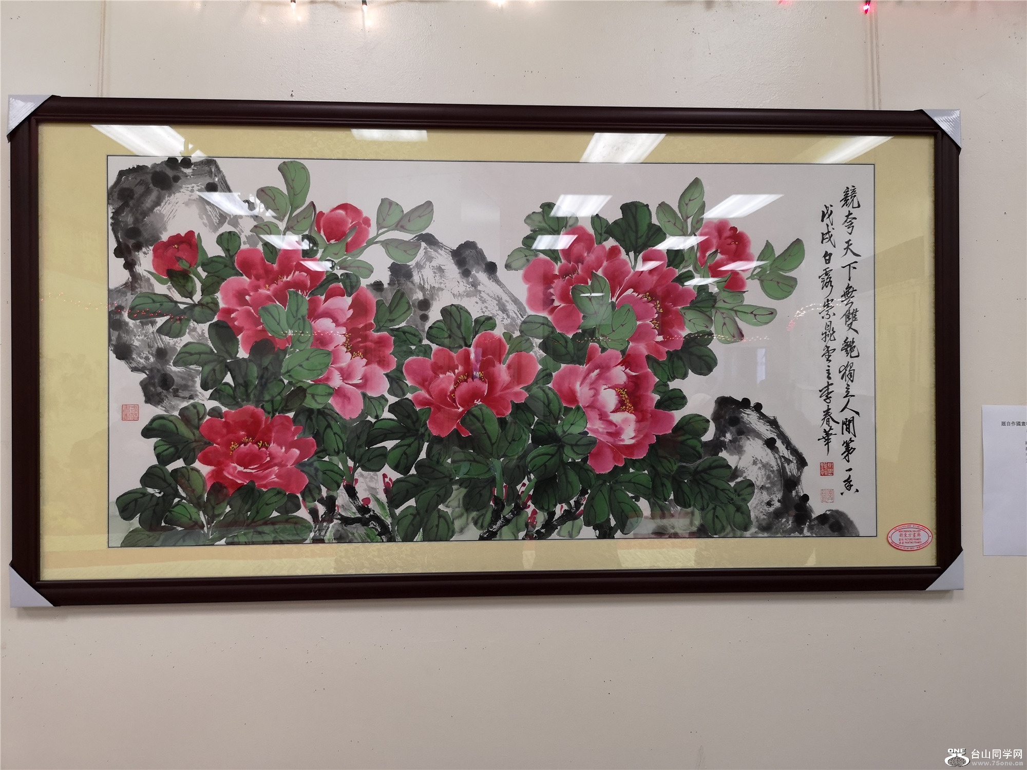 IMG_20181222_115732.jpg